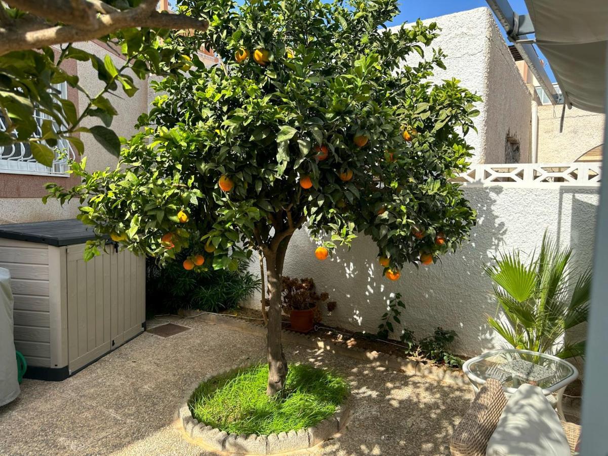 רוקאוטס דה מר Large Villa Private Pool And Garden Near Beach מראה חיצוני תמונה